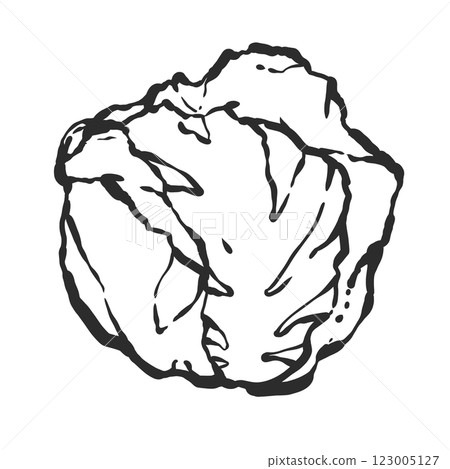 春白菜手繪筆刷風格插畫 123005127