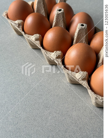 Brown chicken eggs in a paper tray side view with copy space Brown chicken eggs in a paper tray side view with copy space 123005636