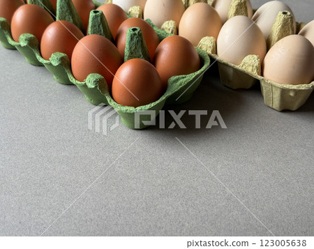 Brown and white chicken eggs in green paper trays side view with copy space 123005638