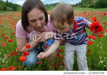 Little boy and his mother in a huge field of wild red poppies 123005794