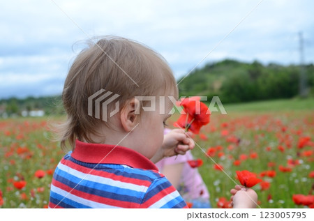 Little boy and a field of wild red poppies Little boy and a field of wild red poppies 123005795