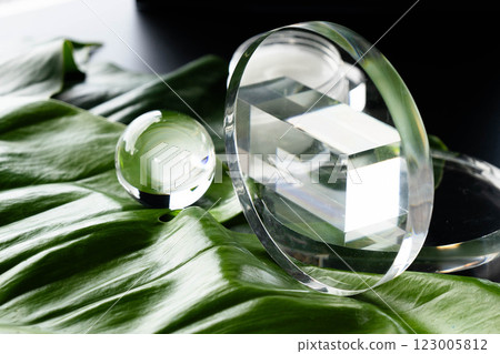 Cosmetic glass containers arranged artistically on tropical green leaves for spa treatment. Cosmetic glass containers arranged artistically on tropical green leaves for spa treatment. 123005812