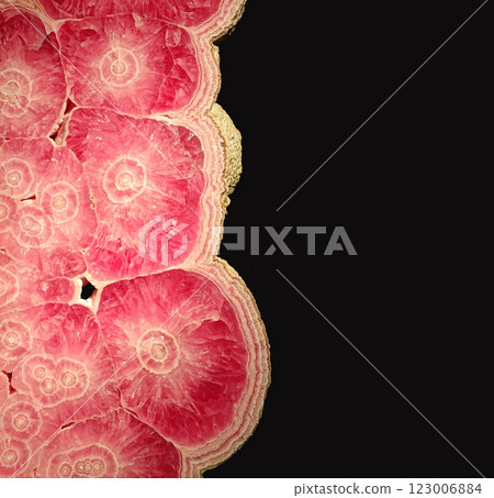 Detailed Close-Up View of Beautiful Red Rhodochrosite with Concentric Circles on Dark Background 123006884