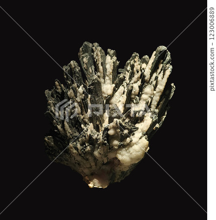 Detailed Close-Up View of Beautiful Stibnite Crystal Specimen on Dark Background 123006889