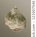 Detailed Close-Up View of Intricately Carved Quartz from the Alps Depicting Historical Scene on Light Background 123007046