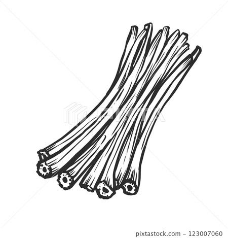 手繪畫筆風格的款冬插圖 123007060