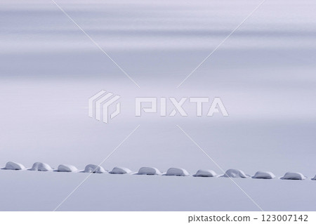 250214 生川水壩 g252 250214 生川水壩 g252 123007142