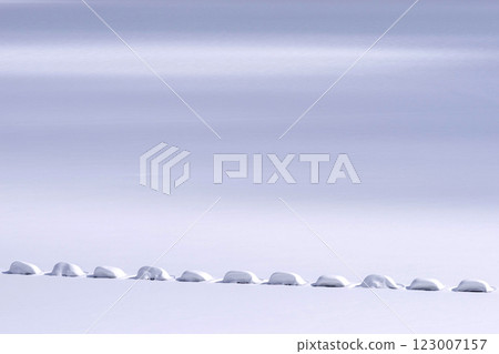 250214 Nyukawa Dam g290 250214 Nyukawa Dam g290 123007157