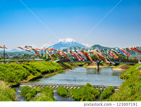 Mount Fuji can be seen beyond the carp streamers crossing the river at the Suzukigawa Carp Streamer Festival in Okazaki, Hiratsuka City. 123007191
