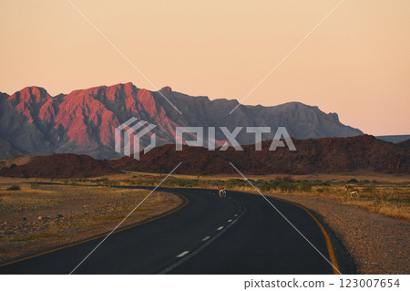 Majestic landscaped view of road in Africa, Namibia 123007654
