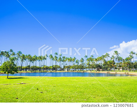 夏威夷阿拉莫阿納公園 123007681