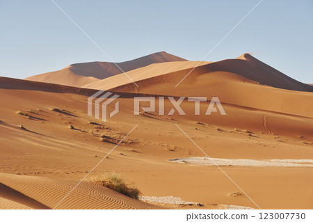 Horizon is far away. Majestic view of amazing landscapes in African desert 123007730