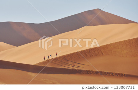 Horizon is far away. Majestic view of amazing landscapes in African desert 123007731