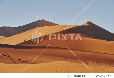 Horizon is far away. Majestic view of amazing landscapes in African desert 123007732