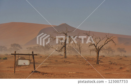Trees that are dead is in the sand. Majestic view of amazing landscapes in African desert 123007733