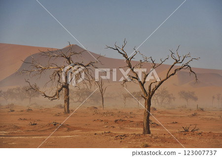 Large distance. Majestic view of amazing landscapes in African desert Large distance. Majestic view of amazing landscapes in African desert 123007737