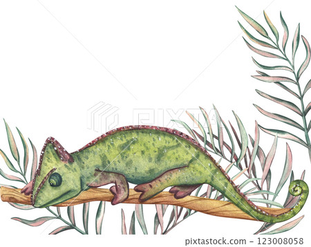 Watercolor illustration of green chameleon on a branch with space for text. Exotic African animal isolated on white background. Tropical template for design of cards and invitation 123008058