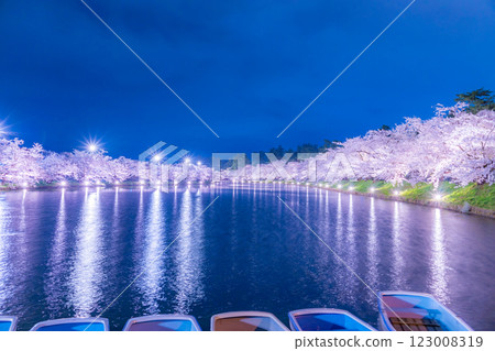 Beautiful cherry blossoms at night in Hirosaki 123008319
