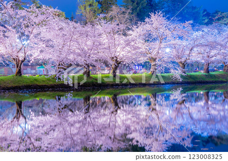 弘前市的夜櫻美麗極了 123008325