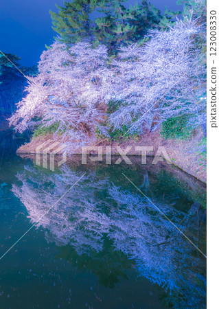 Beautiful cherry blossoms at night in Hirosaki 123008330