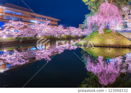 弘前市的夜櫻美麗極了 123008332