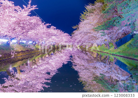 弘前市的夜櫻美麗極了 123008333