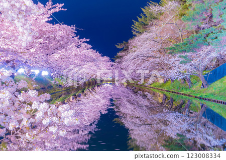 弘前市的夜櫻美麗極了 123008334