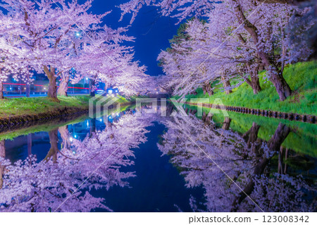 弘前市的夜櫻美麗極了 123008342