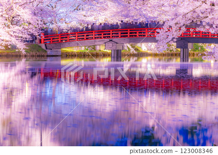 Beautiful cherry blossoms at night in Hirosaki 123008346