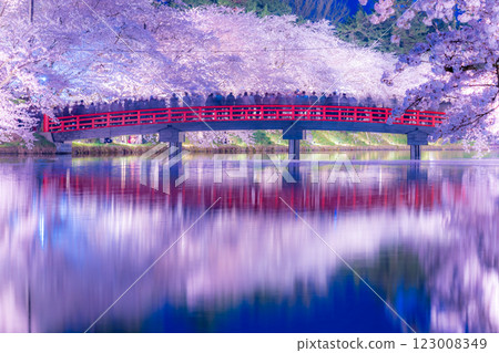 弘前市的夜櫻美麗極了 123008349