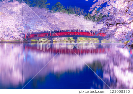 Beautiful cherry blossoms at night in Hirosaki 123008350
