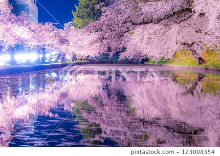 弘前市的夜櫻美麗極了 123008354