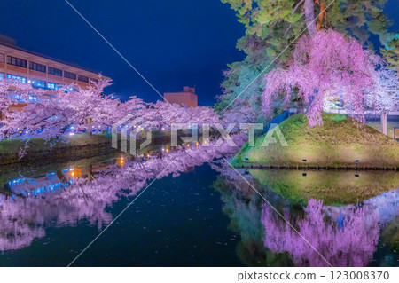 Beautiful cherry blossoms at night in Hirosaki 123008370