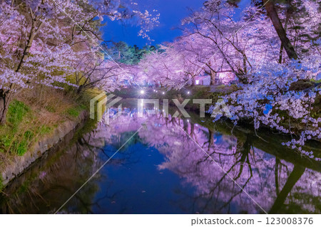 弘前市的夜櫻美麗極了 123008376