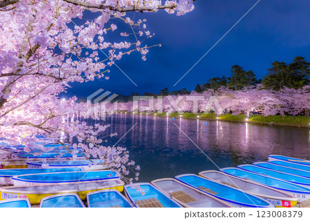 Beautiful cherry blossoms at night in Hirosaki 123008379