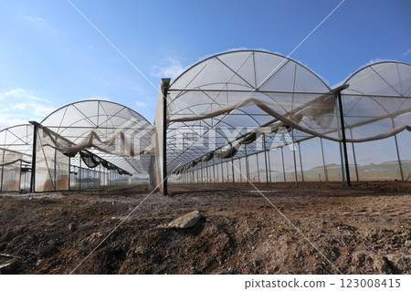 Greenhouses in agricultural landscape. Mediterranean agriculture, growing vegetables, fruits, flowers and other types of plants in greenhouses. 123008415