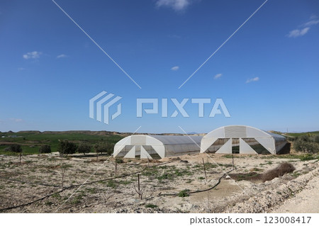Greenhouses in agricultural landscape. Mediterranean agriculture, growing vegetables, fruits, flowers and other types of plants in greenhouses. 123008417