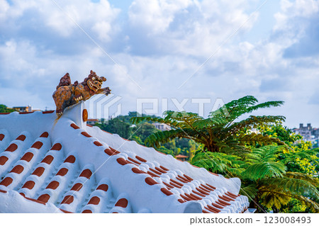[#沖繩] 屋頂上的風獅爺 123008493