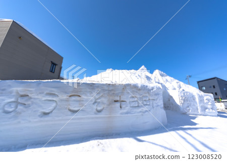 The 76th Tokamachi Snow Festival 123008520