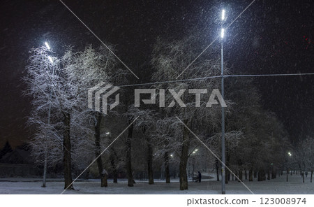 Snowy Night Park Snowy Night Park 123008974