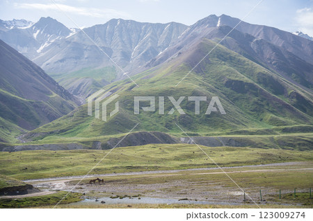 Two horses cuddling in beautiful alpine landscape with green pastures, Pamir mountains, Kyrgyzstan 123009274