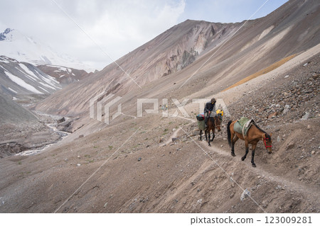 Horses loaded with cargo walking on the side of the mountain, Pamir mountains, Kyrgyzstan Horses loaded with cargo walking on the side of the mountain, Pamir mountains, Kyrgyzstan 123009281