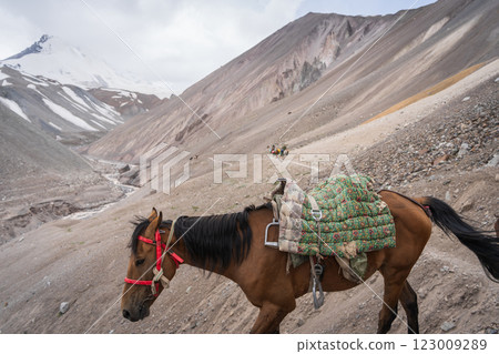Horse loaded with cargo descending from mountain with snow in backdrop, Pamir mountains, Kyrgyzstan 123009289