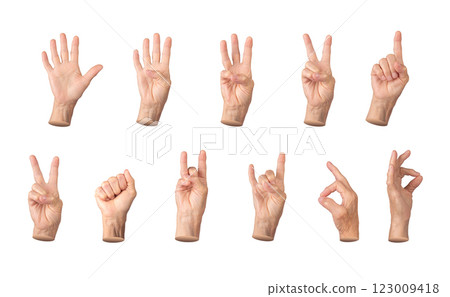 Set of elderly female hands displaying various gestures, including counting from one to five, thumbs Set of elderly female hands displaying various gestures, including counting from one to five, thumbs 123009418