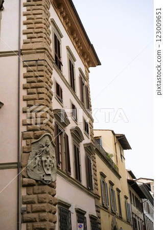 佛羅倫斯城市景觀：美第奇家族族徽 123009651