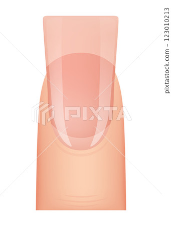 Nail shape manicure. Type of fingernail extension. Professional manicure template. Salon fashion type trend. Vector cartoon nail art on white background Nail shape manicure. Type of fingernail extension. Professional manicure template. Salon fashion type trend. Vector cartoon nail art on white background 123010213