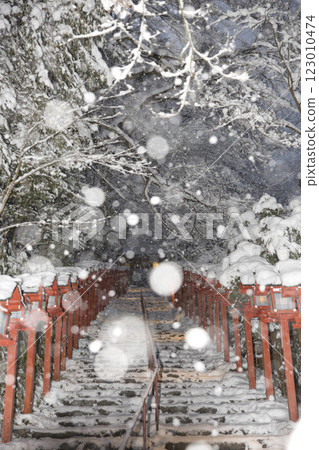 貴船神社:參拜用的燈籠與飄落的雪花 8 貴船神社:參拜用的燈籠與飄落的雪花 8 123010474