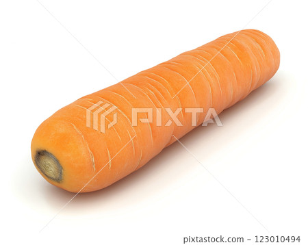 A clean photo-realistic image of a fresh carrot A clean photo-realistic image of a fresh carrot 123010494