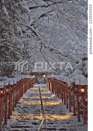 Kifune Shrine: Kasuga lanterns on the snow-covered approach 4 123010503