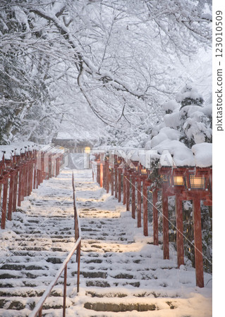 貴船神社:參拜用的燈籠與飄落的雪花 6 貴船神社:參拜用的燈籠與飄落的雪花 6 123010509